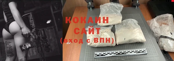 крисы Бронницы