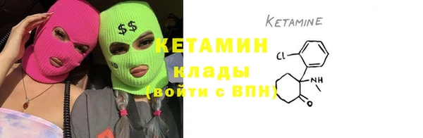 крисы Бронницы