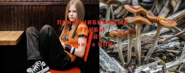 марки nbome Бугульма