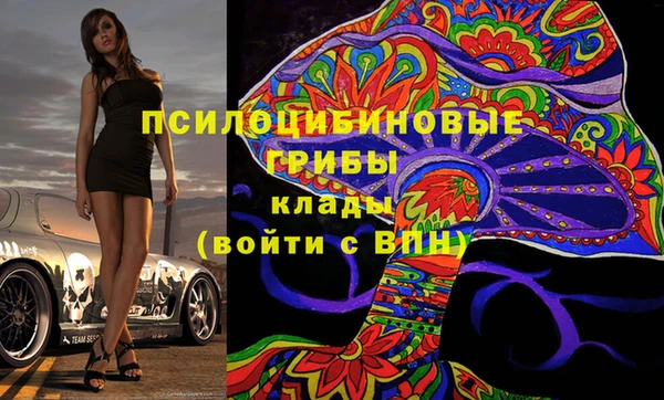 стафф Бородино