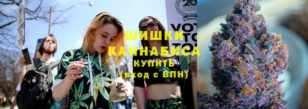 крисы Бронницы