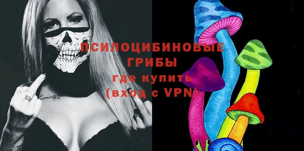 стафф Бородино